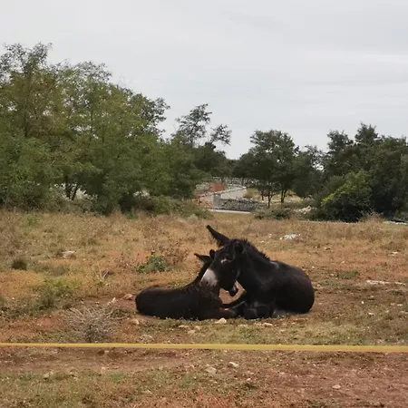 Vecchia Diffuso 4* Mottola